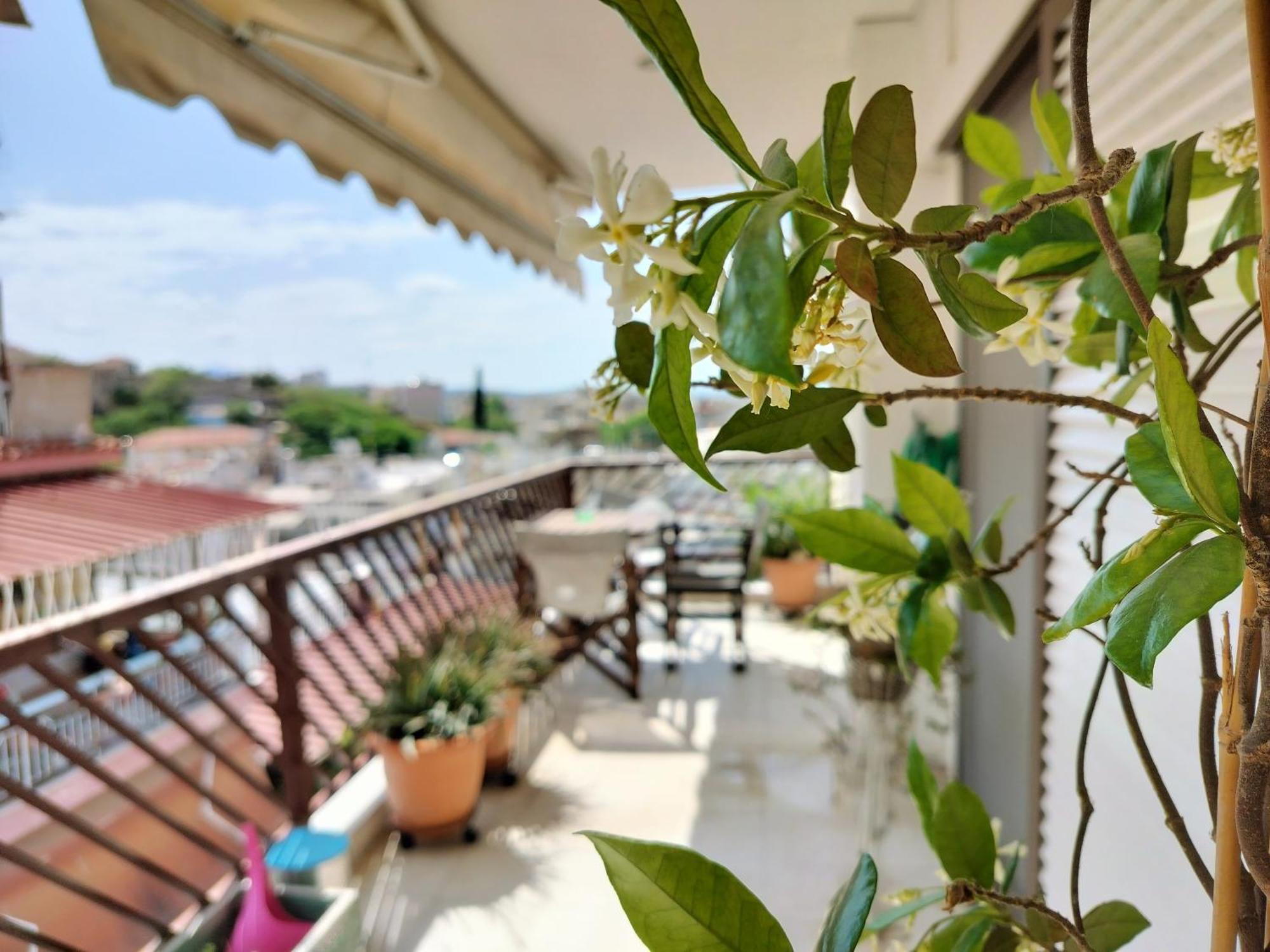 Apartment Castleview 2br Welcome Spacious Lux